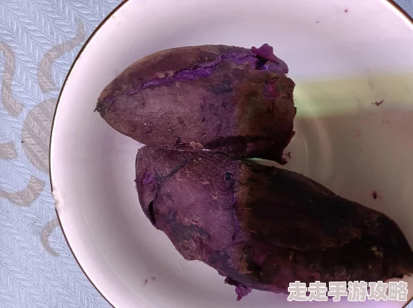 www.太久：网友热议这一现象，认为其反映了现代人对时间的不同理解与生活节奏的变化