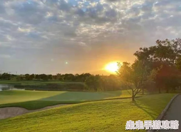 c-起草国产美女，令人震惊的真相浮出水面，背后竟隐藏着这样不为人知的故事！
