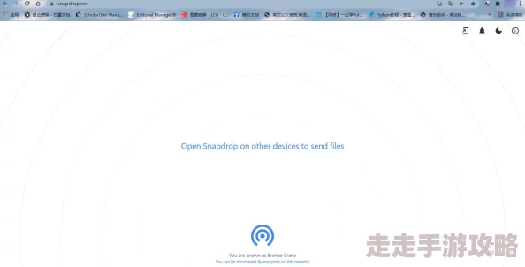 局域网共享设置：如何优化网络性能与安全性，提升文件传输效率和用户体验的实用技巧