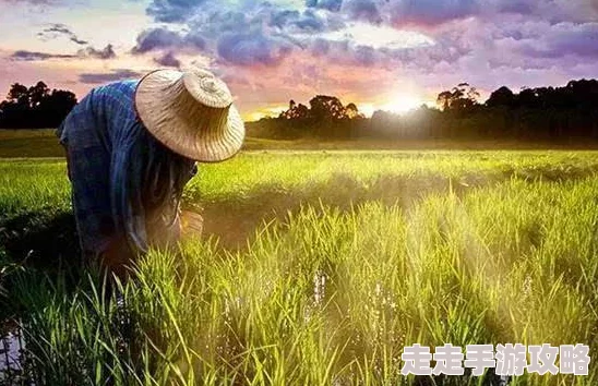 “拔萝卜又叫又疼”惊现奇怪现象：农田内竟发现神秘生物让农民心惊胆战！