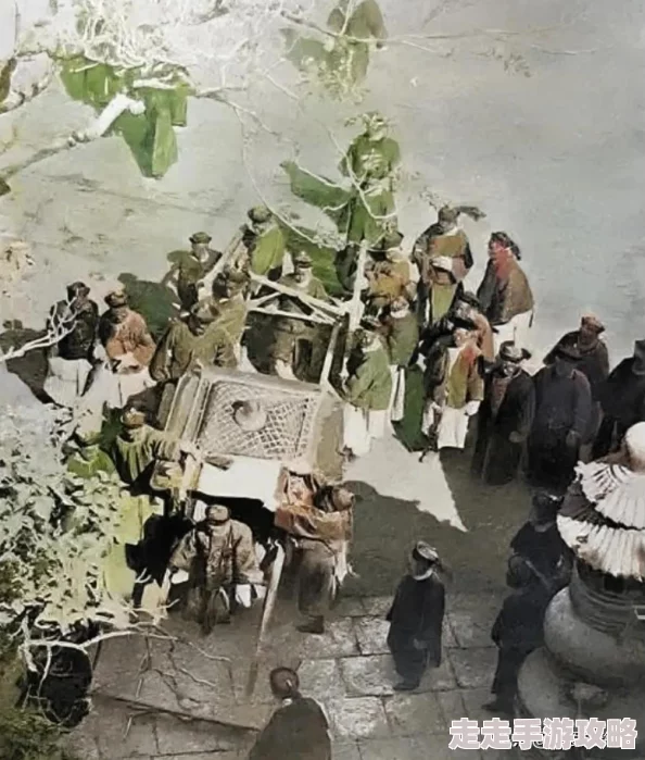 偷拍露脸老妇女hd在线：最新动态揭示了她们的生活与挑战，展现真实而动人的故事