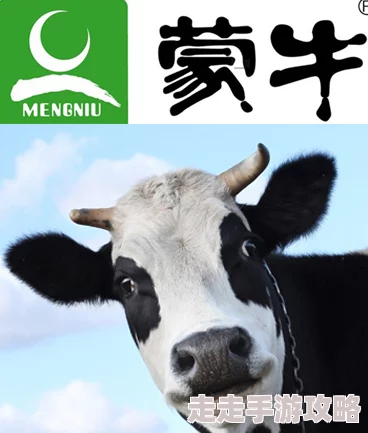 麻酥酥奶牛，这个名字真有趣，听起来就让人想尝试一下！