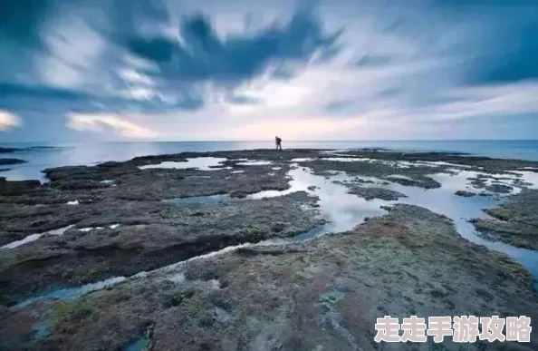 肥大BBwBBBwBBw潮水，真是让人惊叹的现象，感觉这股潮流越来越强烈了！