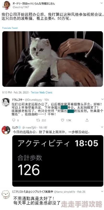 日本一级特黄在线播放 网友评价：这部作品的画面质量非常高，剧情也很吸引人，让人看了还想再看，值得推荐给喜欢这个类型的朋友