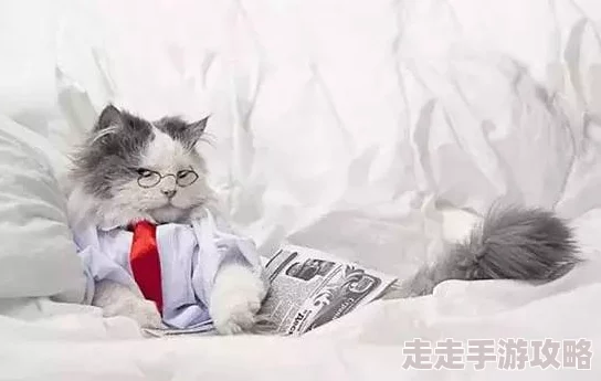 趣味纸萌猫乐园茶馆：掌握独特经营技巧，打造温馨盈利空间