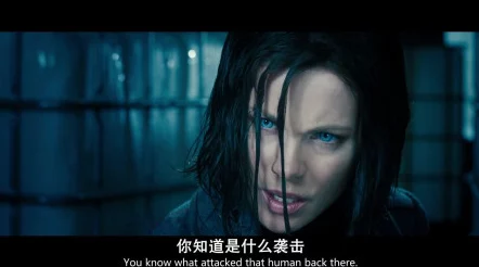 免费观看一级特黄欧美大片惊爆