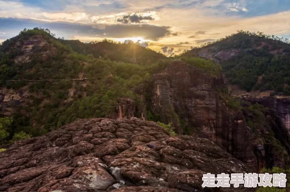 《黎明之海》探险技能点获取全攻略：网友力荐，助你轻松升级解锁超强探险能力！