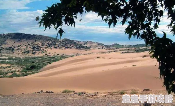 《和平精英》绿洲世界钓鱼点位全攻略：畅享垂钓之乐，网友热议必备指南！