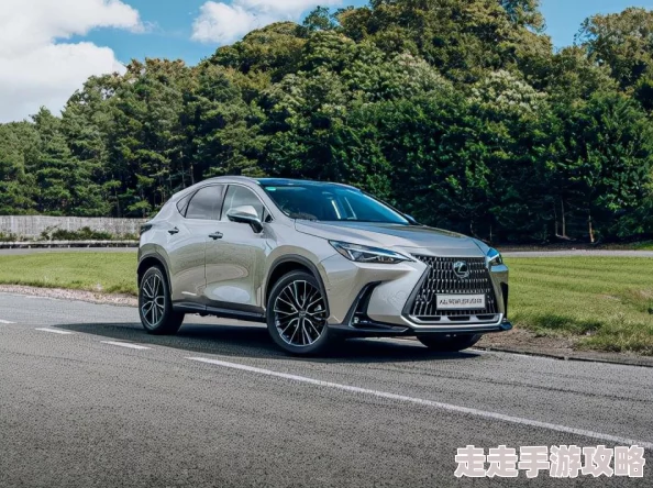 2025年游戏攻略:骑砍2自带控制台最新使用教程与热门技巧详解 2025年游戏攻略:骑砍2自带控制台最新使用教程与热门技巧详解